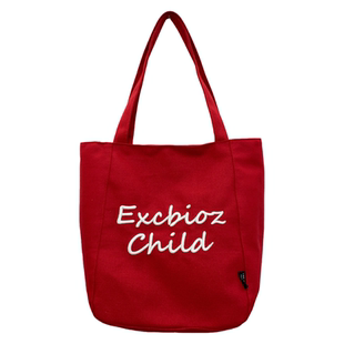 帆布包女生大容量ins小众高颜值托特包 上班通勤包女生手提腋下包