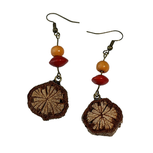 原创植物果实长款耳环天然干果手工耳饰中药复古文艺民族风耳钩女