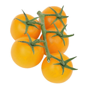 香芒皇后小番茄农家新鲜黄色千禧圣女果孕妇当季超甜爆汁现摘现发