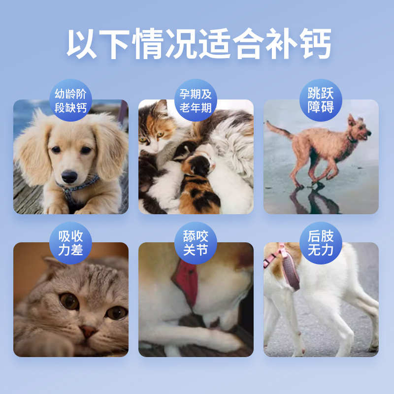 魔伽强力螯合液体钙猫咪狗狗液体宠物孕期产后速补钙健骨120ml