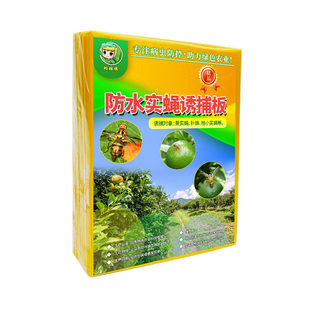 瓜果实蝇粘胶板针蜂贴杀果苍蝇蜜锋诱捕器果园菜园大棚黄色粘虫板