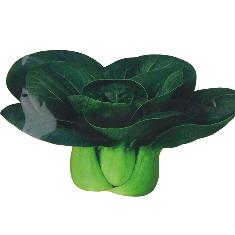 黑叶矮脚苏州青种子油菜种籽正宗小青菜白菜蔬菜孑青梗上海青大全