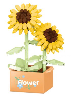 鲜花积木植物多肉盆栽学生礼品