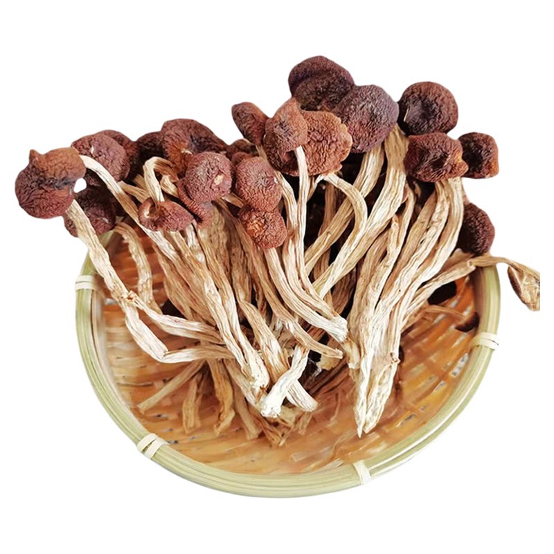 一级不开伞剪根干茶树菇干货好货旗舰店品质江西广昌未开伞500g克