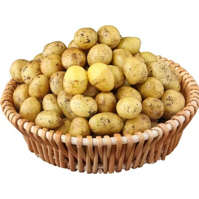 湖北恩施小土豆富硒新鲜5斤现挖黄心蔬菜迷你土豆当季马铃薯自种