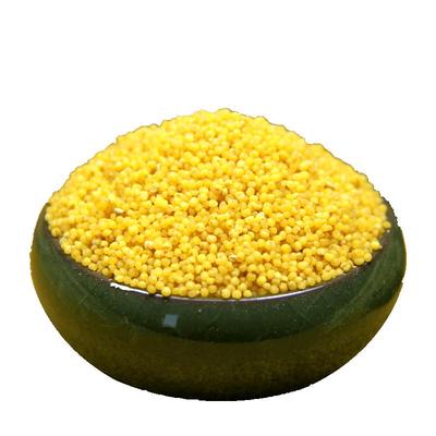 山西特产沁州黄小米产地直发新米