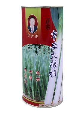 山东章丘铁杆大葱种子葱白长脆甜