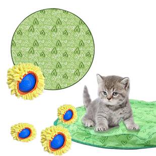 亚马逊跨境新品宠物玩具猫咪捕猎球电动充电猫自神器嗨解闷玩具罩