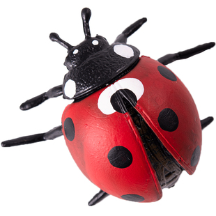 仿真小昆虫玩具套装天牛独角仙蚂蚁蜻蜓蝎子七星瓢虫螳螂蜘蛛模型