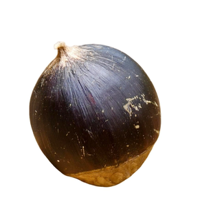 新鲜野生小锥栗现摘米锥子小板栗圆株子现货毛栗子刺锥子童年味道