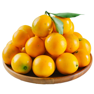 广西融安脆皮金桔鲜果10小金橘子新鲜水果当季蜜金柑桔子整箱包邮