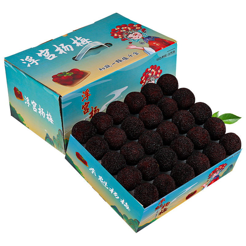 空运次日达丨东魁杨梅丨产地直发