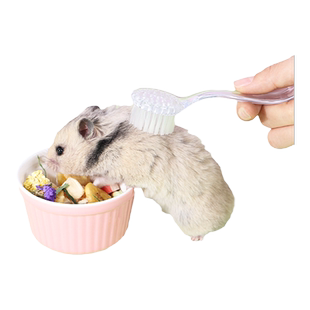 仓鼠软毛小梳子金丝熊仓鼠用品长毛梳理毛发兔子龙猫豚鼠美毛梳子