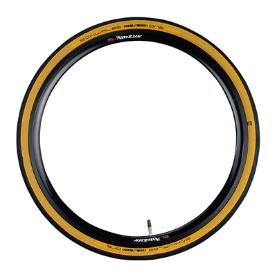 折叠车SCHWALBE20寸折叠车外胎