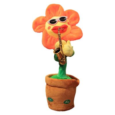 妖娆花摇摆跳舞太阳花