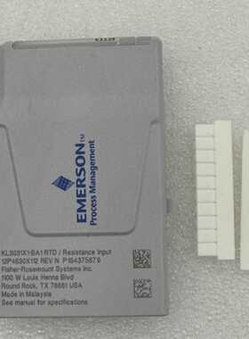 Emerson KL3031X1-BA1RTD Resistance Input CHARM Module New