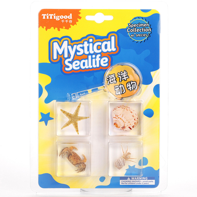 千千谷真虫标本蝴蝶早教