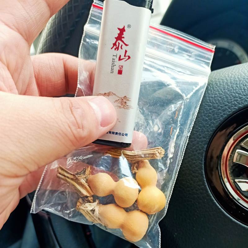 文玩葫芦草里金小手捻盘玩把手持收藏自家种植车载挂件绕指柔