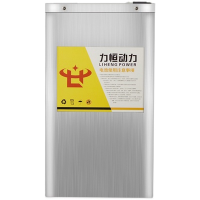 适用于九号V30C VZ mix锂电池48V/60V锂电池磷酸铁锂大容量增程
