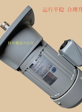 G3FB-22-10-T040AX  NISSEI日精电机 G3FB-22-10-TO40AX  GTR马达