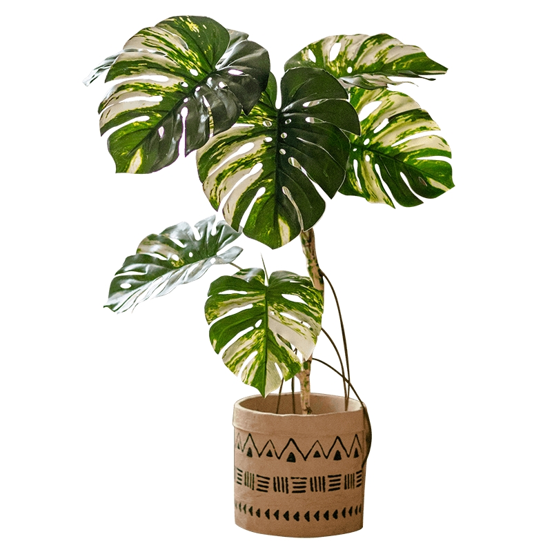 掬涵花叶龟背竹仿真绿植盆栽大型室内橱窗落地仿生植物树装饰摆件