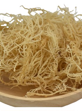 龙须菜野生食用麒麟珊瑚凉拌海藻