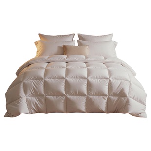 斯得福儿童羽绒被波兰95纯白鹅绒春秋被芯加厚冬被1米5四季通用款