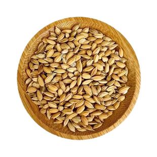 农家稻谷带壳大米谷子水稻稻子带壳粮食喂鸡鸭鹅鸽鸟仓鼠宠物饲料