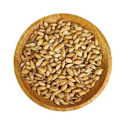 农家稻谷带壳大米谷子水稻稻子带壳粮食喂鸡鸭鹅鸽鸟仓鼠宠物饲料
