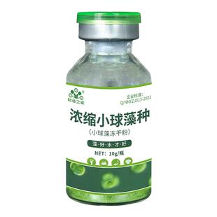 浓缩小球藻冻干粉鱼塘绿水藻种水产养殖小球藻藻种池塘肥水补藻