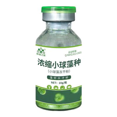 桂渔之家浓缩型小球藻