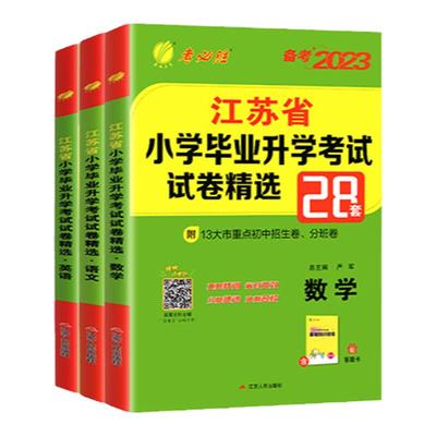 小升初江苏省学毕业考试卷精