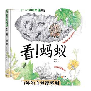 正版看蚂蚁家门外的自然课系列3-6-9岁幼少儿童小学生暑假期全彩插图漫画百科普大全四季自然动植物绘本小百科手绘图课外阅读书籍