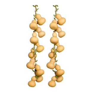 天然葫芦挂件解决家居门对门挂件客厅装饰客厅卧室红色小葫芦串