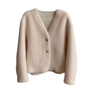 极简主义/细腻羊羔毛皮毛一体V领年轻短款2025新款皮草毛毛外套女