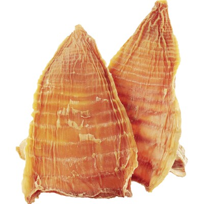 黄山特产小笋干冬笋尖食材新鲜