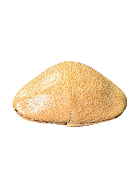 天然金元宝菩提原籽手串配饰