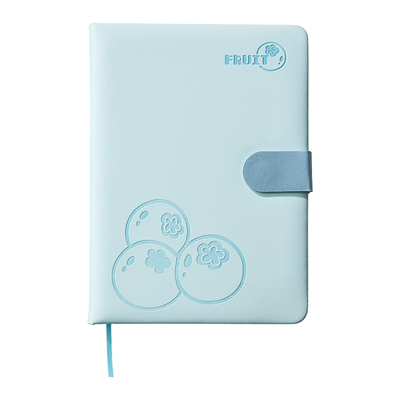 三年二班简约水果皮面搭扣本大号