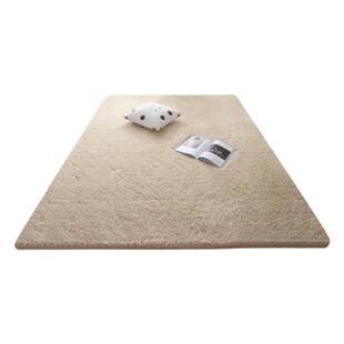 加厚冬季羊羔绒客厅地毯卧室ins风毛毯卧室全铺撸猫感素色地垫子