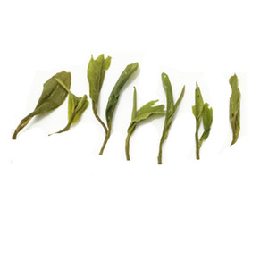 2025新茶叶安徽黄山毛峰雨前绿茶500克包邮春茶毛尖口粮散装嫩芽