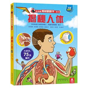 当当网正版童书 乐乐趣揭秘翻翻书系列 揭秘人体第 2辑3-6-10岁儿童科普百科全书认识身体骨骼器官结构机关书男孩女孩精装绘本书籍