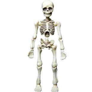 玩物尚志 骷髅人模型 骨头先生 多关节可动人偶 食玩场景摆件公仔