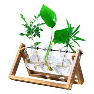 原木色创意木架水培绿萝玻璃花瓶容器盆办公室内桌面绿植摆件
