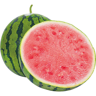 【6棵仅8.8】8424西瓜苗包结果