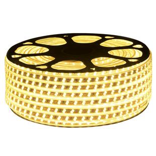 灯带led三色客厅家用变色户外防水超亮软长条线灯柔性线条灯220V