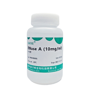 核糖核酸酶A  多规格可选 RNase A CAS9001-99-4 质粒提取RNA去除