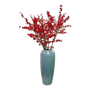 北美冬青鲜切花年宵花红色系果子花期长喜庆氛围感鲜花昆明直发