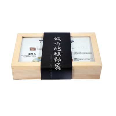 古生物化石标本礼盒原石