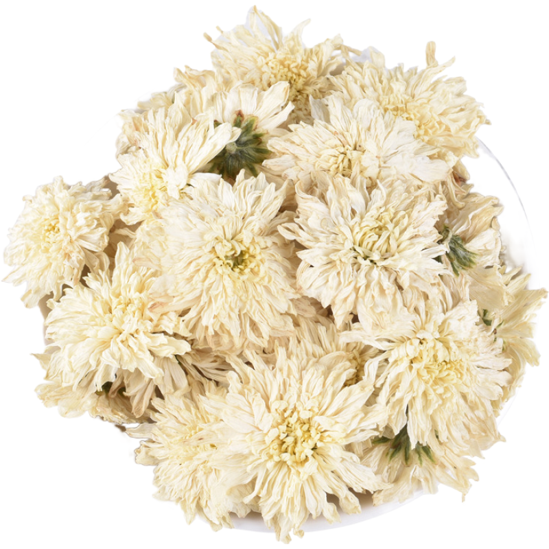 【纯粉无添加】黄山贡菊中药粉500克白菊花可泡水非杭白菊花茶中