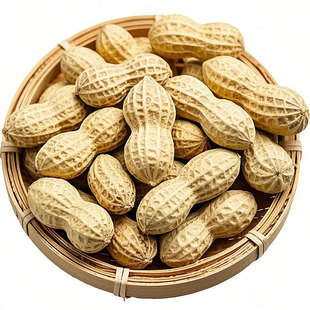 七彩花生种子带壳牛奶花生种籽花皮水果花生奶油花生彩色花生种孑